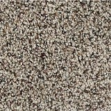 Mohawk CarpetSoft Distinction II